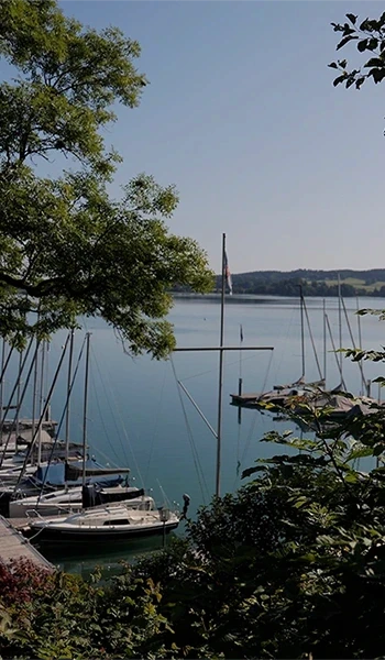 Blick durch Bäume und Büsche auf den See mit Booten und dem Schloss Mattsee am Horizont.
