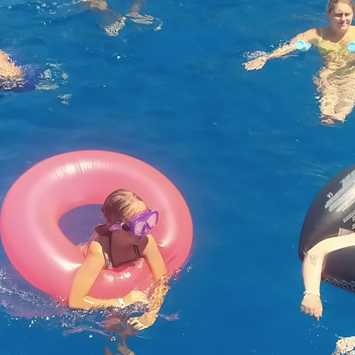 Swim