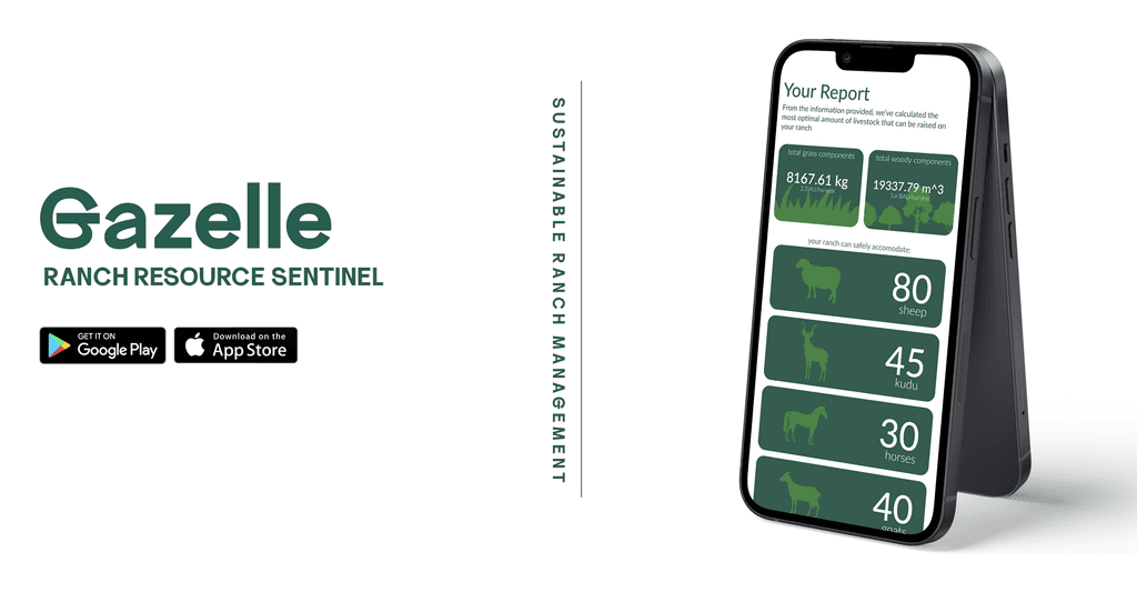 Payble Website in Framer