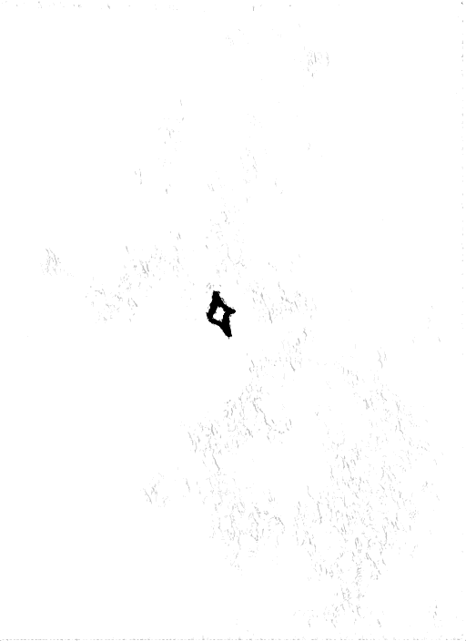 Doodle a mano di Federico De Servi