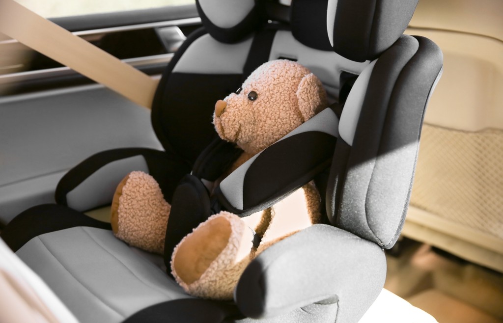 teddy-in-car-seat