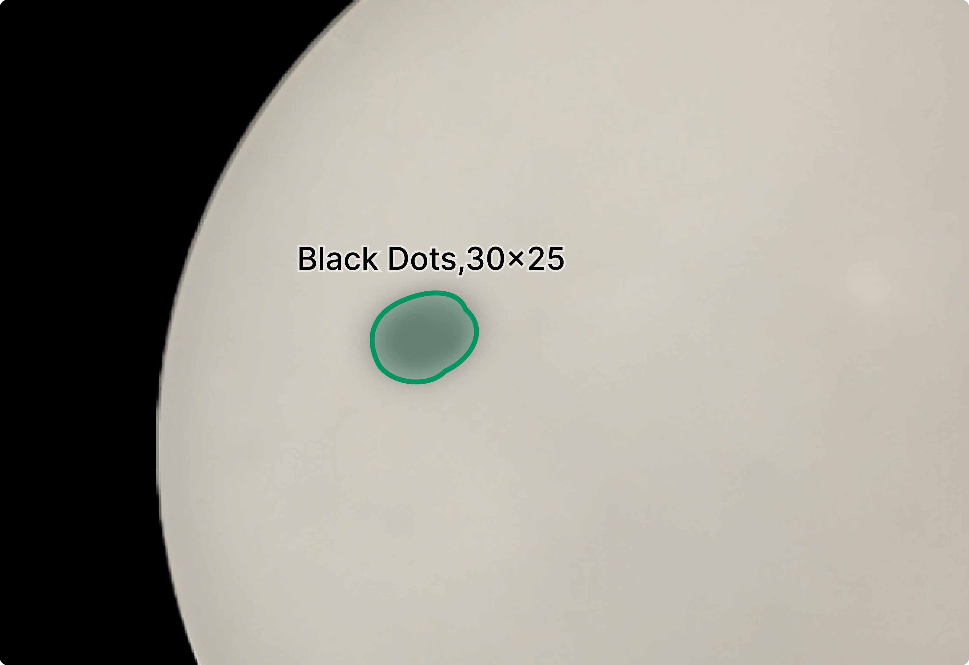 seconductor ai vision inspection