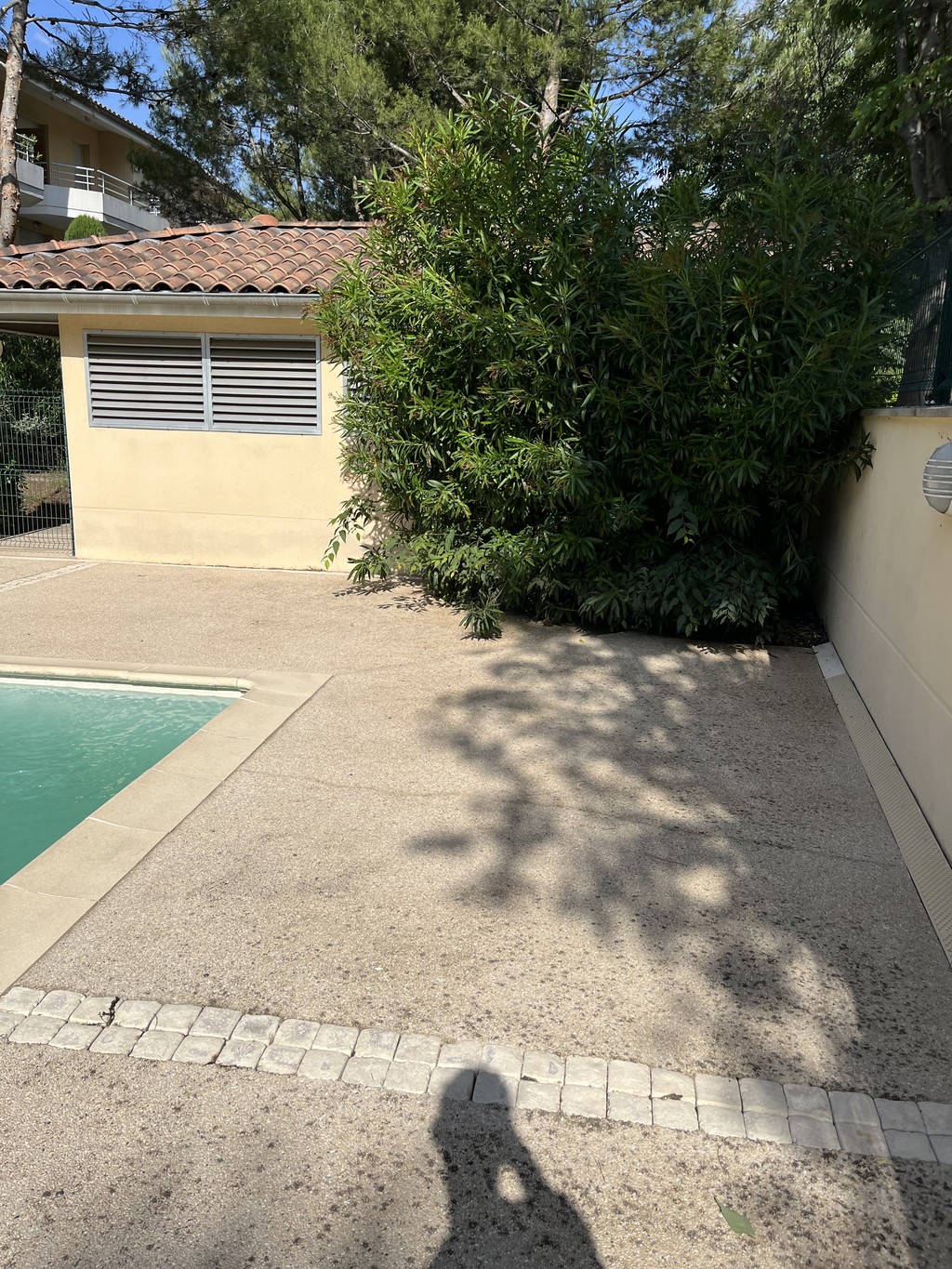 Terrasses nettoyée et ravivée, Vaucluse