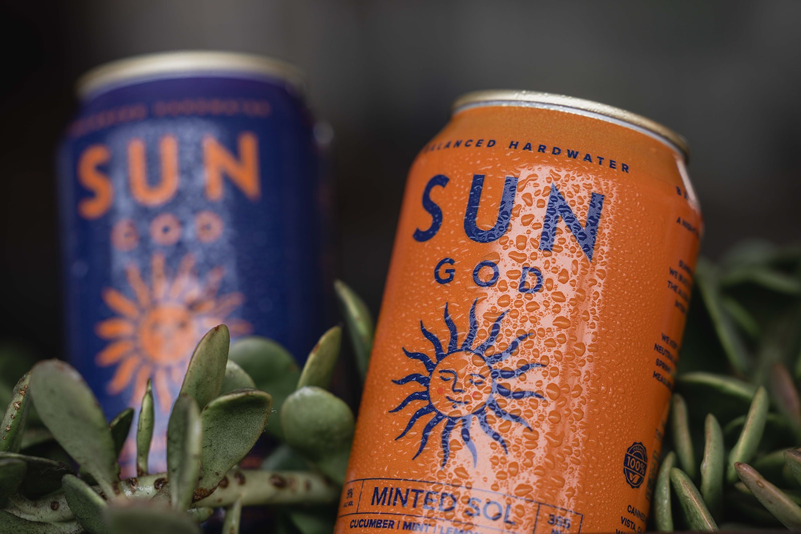 SUNGOD non-carbonated hardwater San Diego Biergarten Encinitas