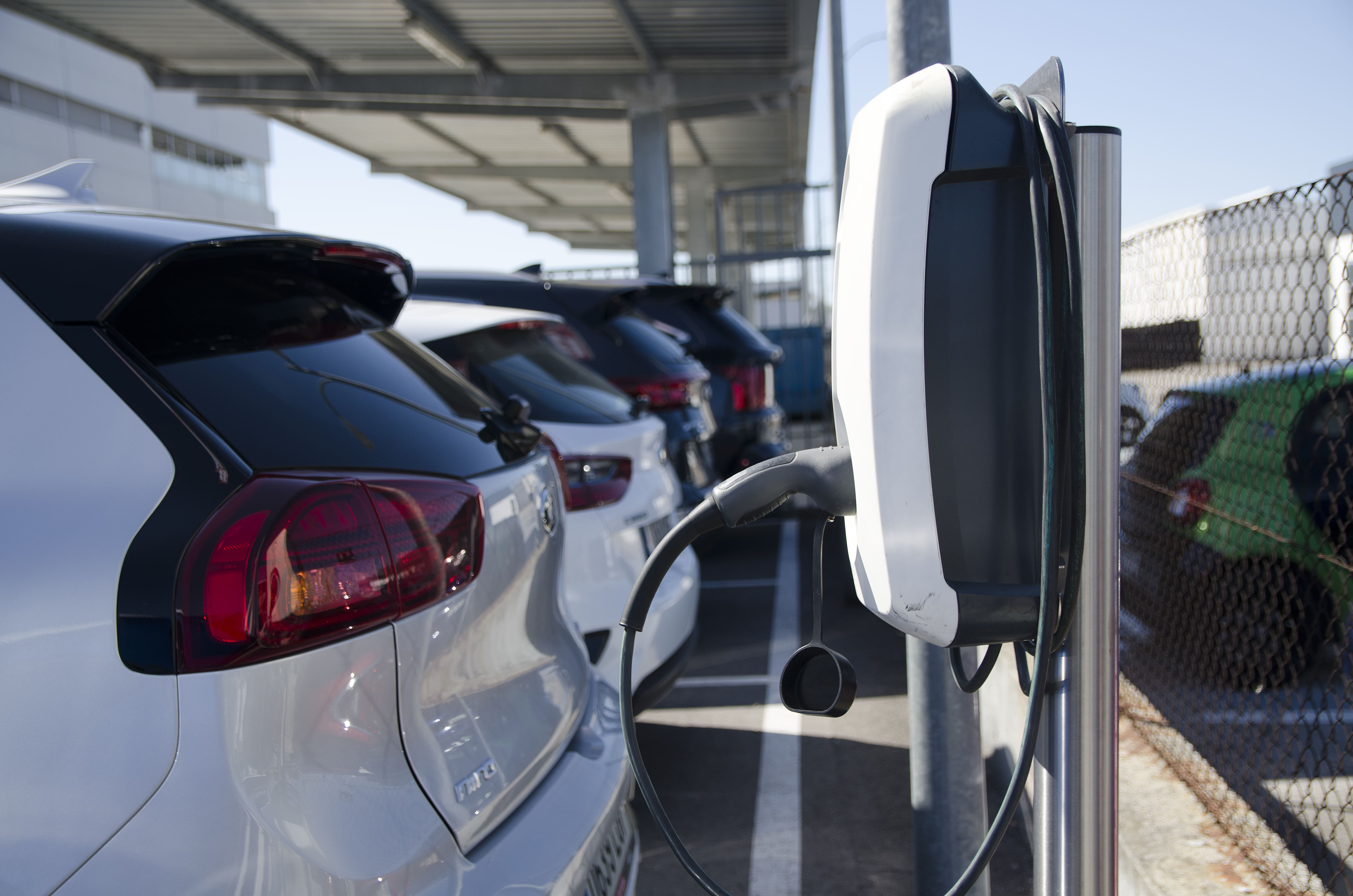 vehículos eléctricos corporativos en carga wallbox