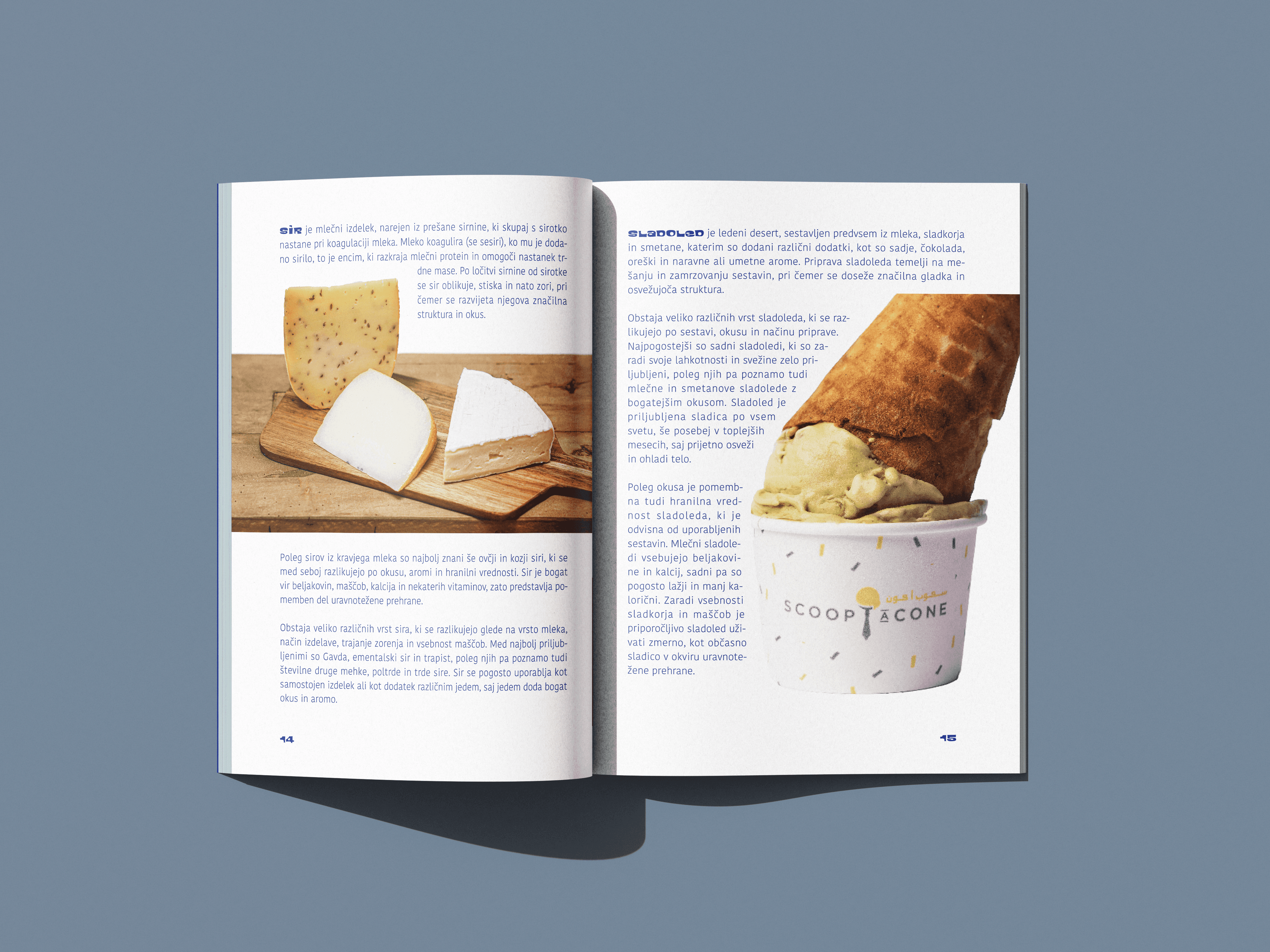 Brochure spread with cheese on a wooden board and a scoop of pistachio ice cream in a cone.