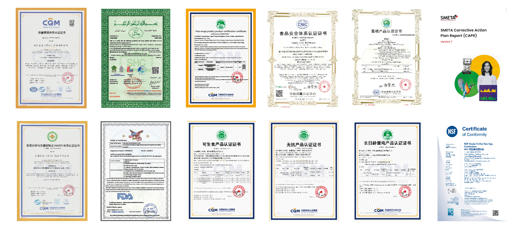A comprehensive display of various certifications and quality marks, highlighting Jinyi Food's commitment to safety and.