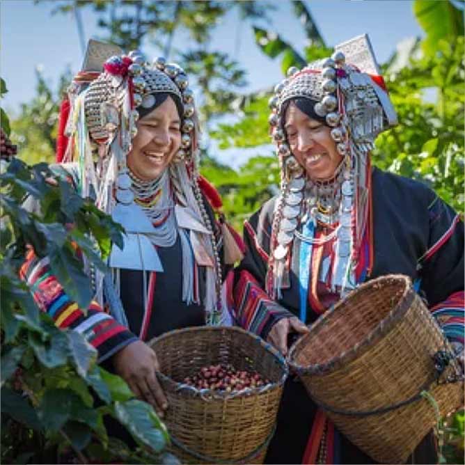 Ethically sourced coffee