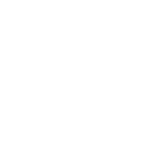 Xapiens logo - small