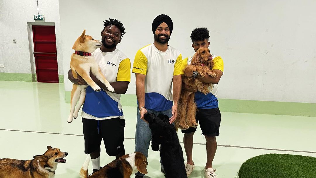 Our team with our pets