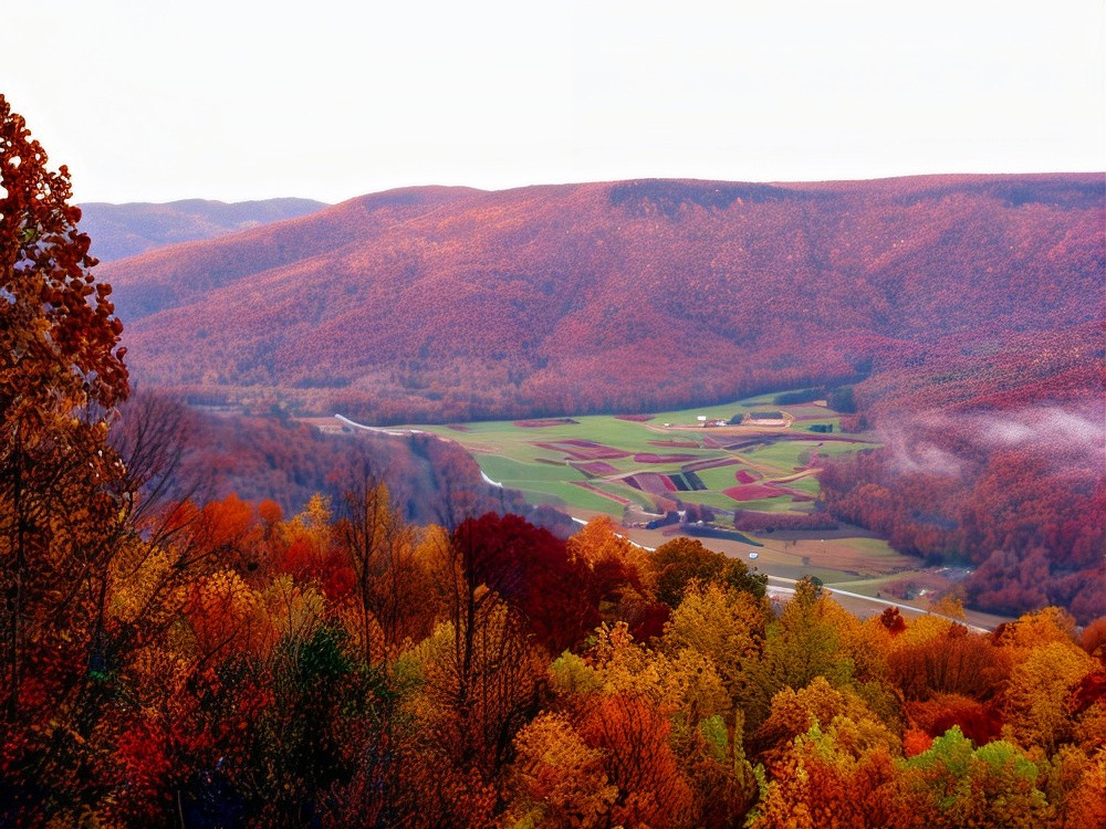 Find reliable roofing contractors in Coalmont, TN. Explore local roofer quotes and trusted professionals near you.