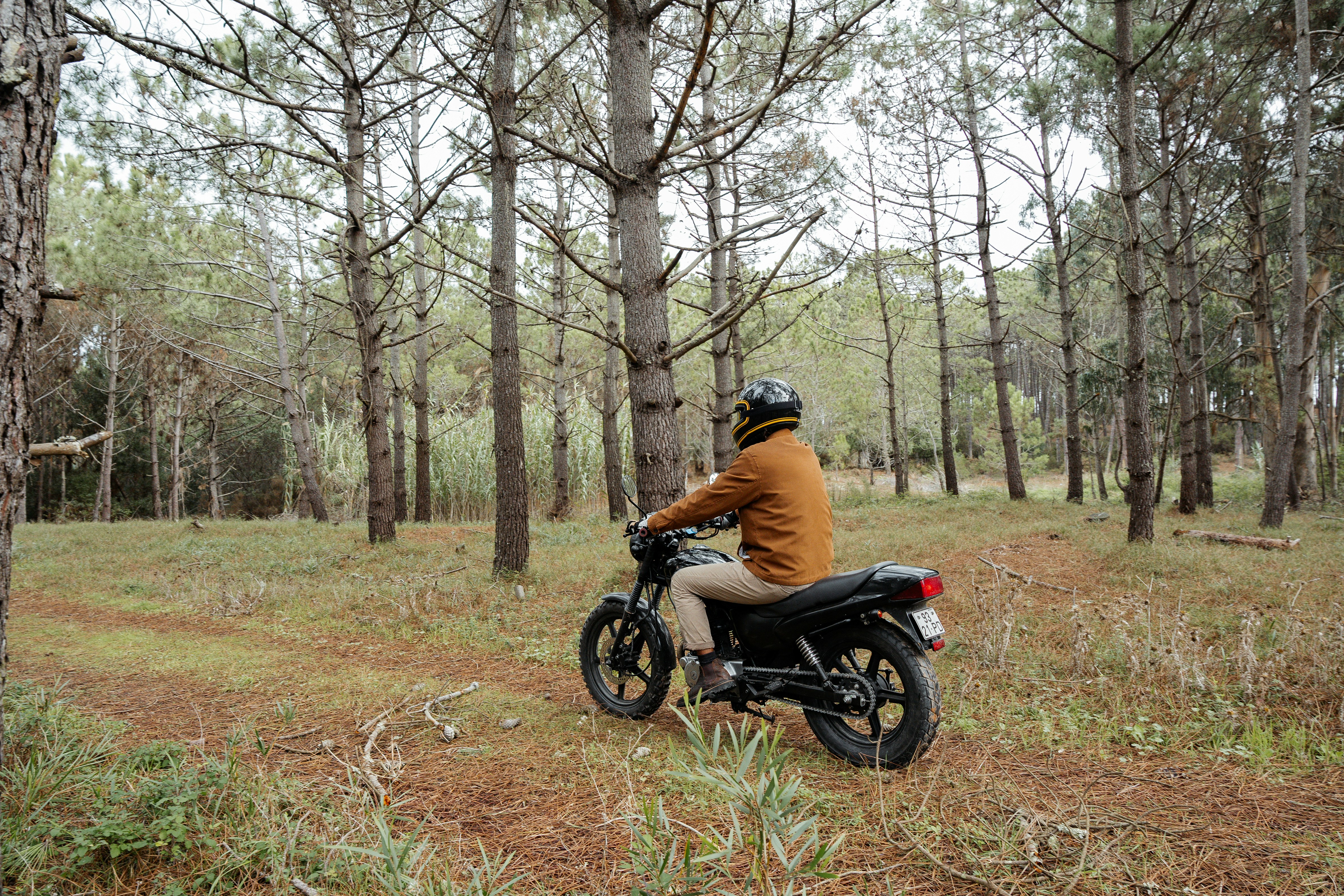 A person wearing a helmet and brown jacket sits on a black motorcycle in a quiet forest clearing, surrounded by tall pine trees and a carpet of fallen needles.