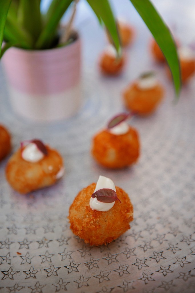 Keynote speaker addressing guests at launch