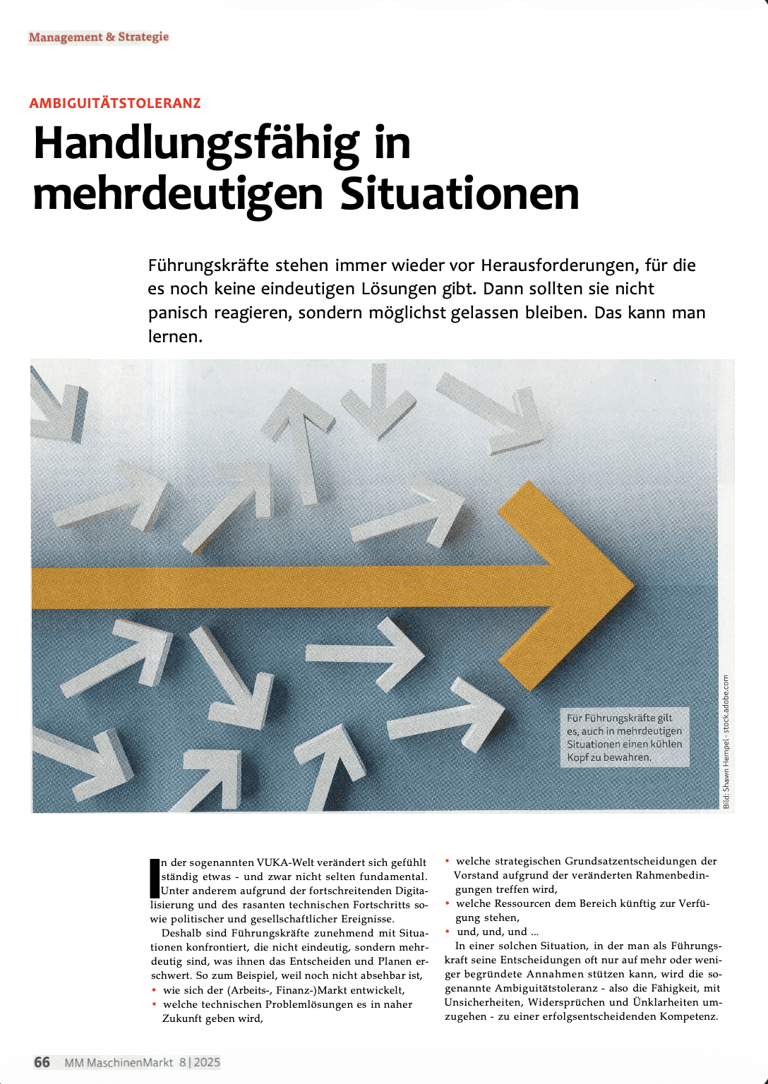 Cover: Handlungsfähig in mehrdeutigen Situationen