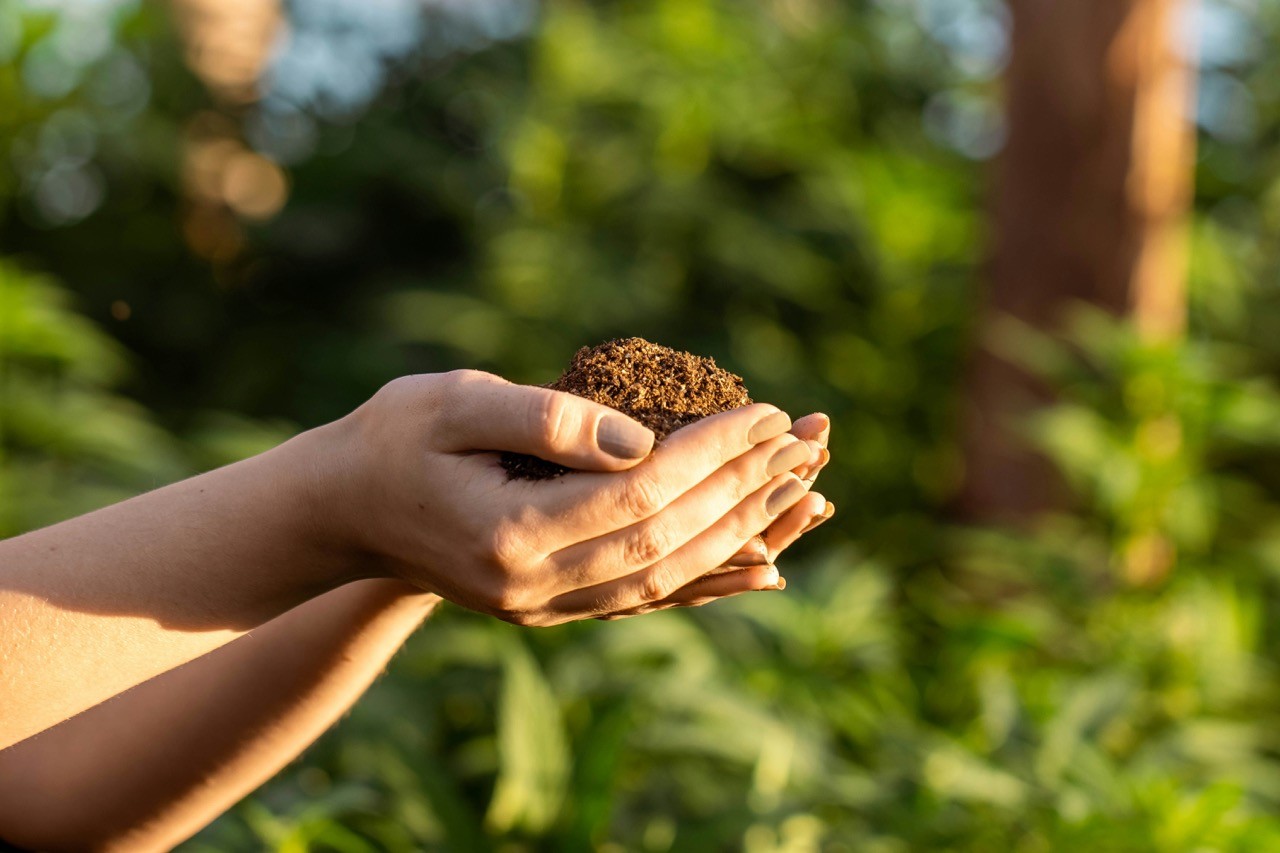 Hände halten Erde als Symbol für eine naturnahe Bestattung