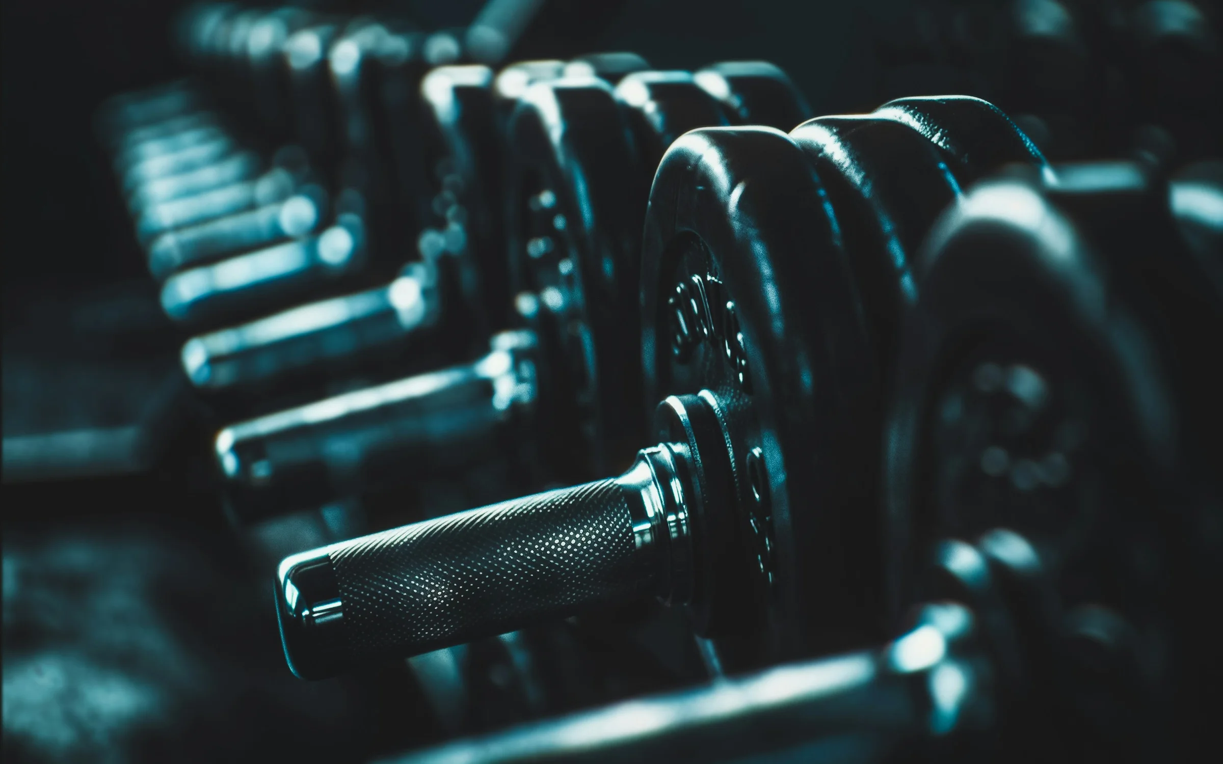 Fitness industry: digital products by Alpha Expansion