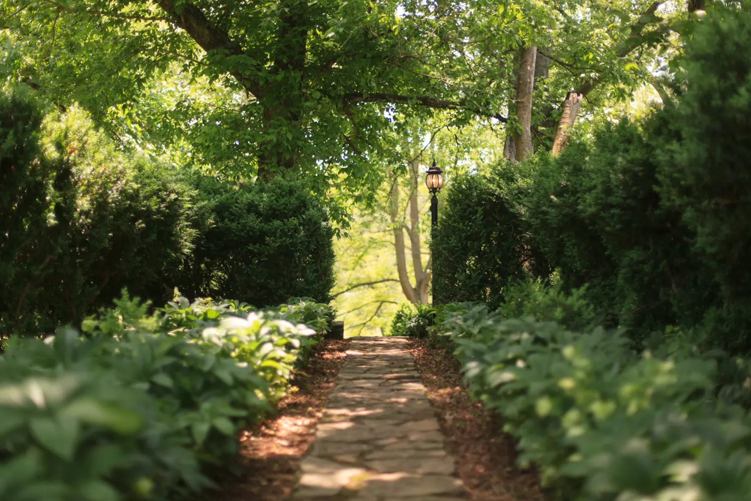 The Estate at Meander