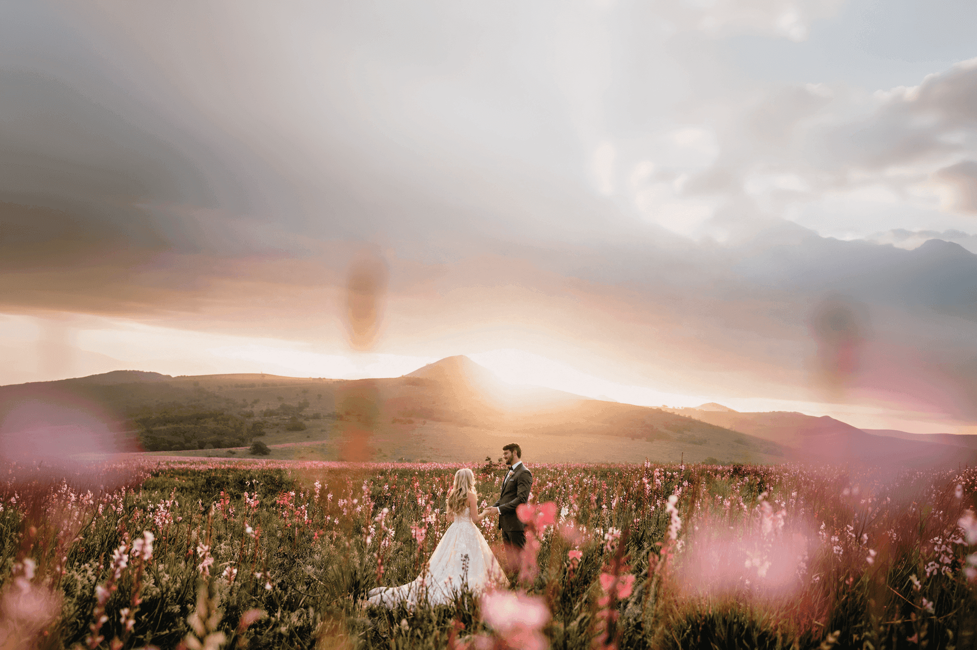 Bride and groom standing among pink flowers in an open field at sunset near Honeyville, Eastern Cape, with hills and dramatic clouds