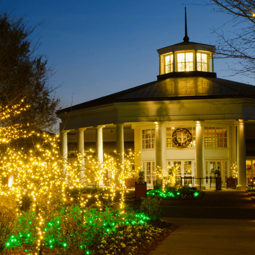 Business decorated with professional holiday light installation by Mammoth Lights