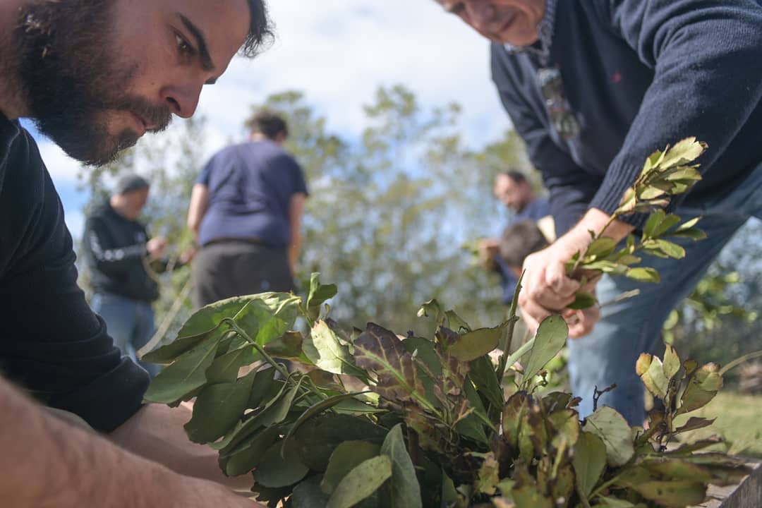 Rodrigo Olano - Ingeniero Agrónomo