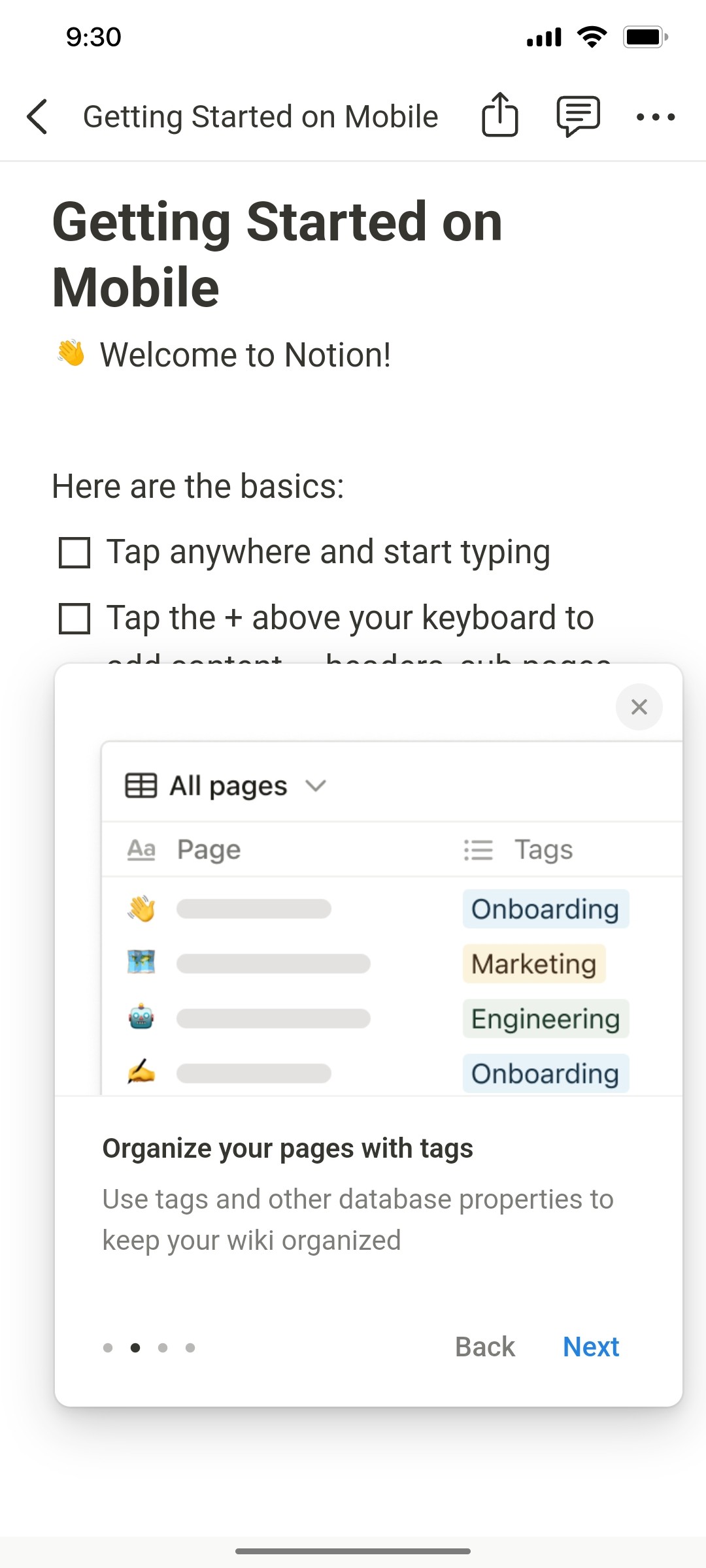 Notion App all Pages screen