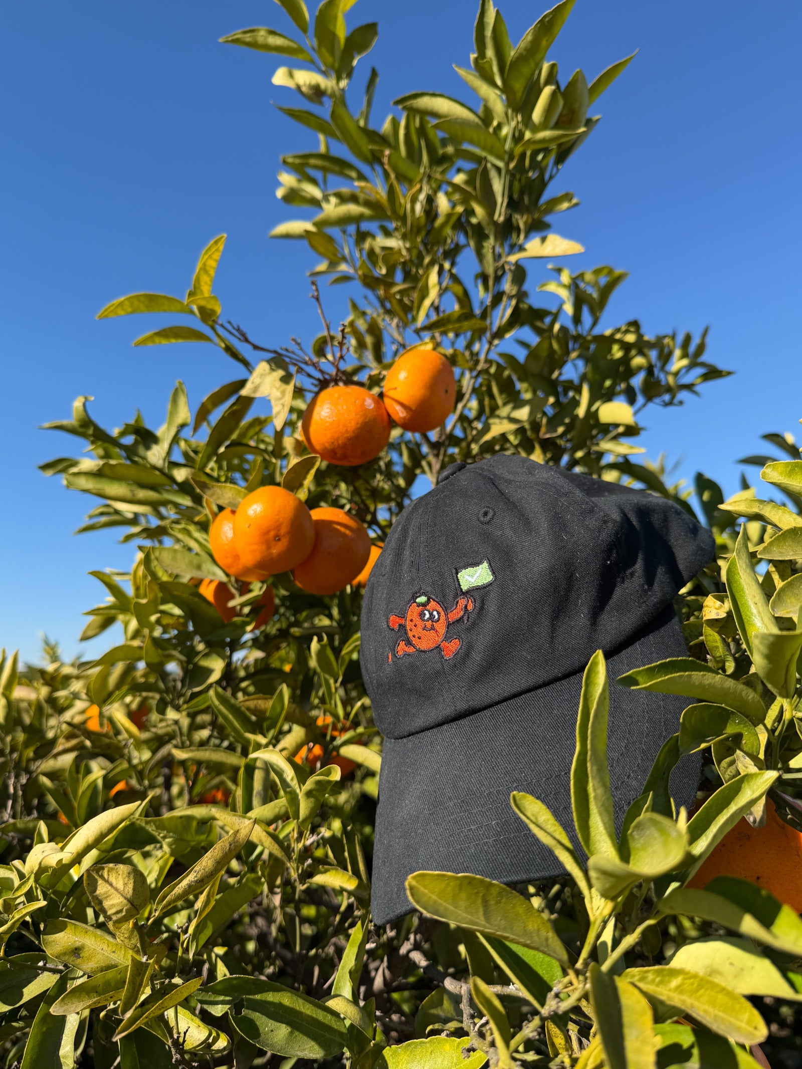 Black cap with an orange cartoon character on an orange tree with oranges