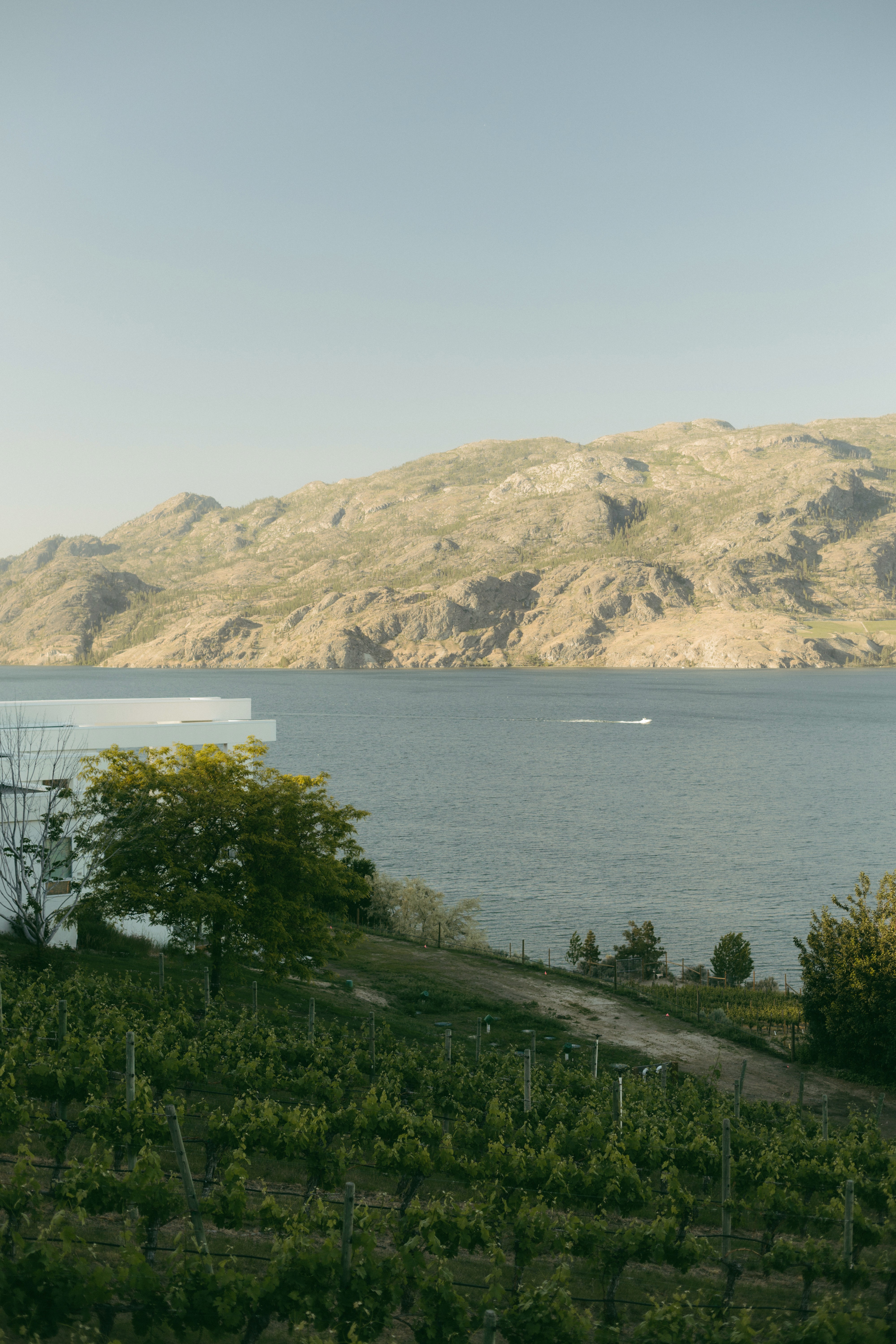 Wedding flowers resting on chair