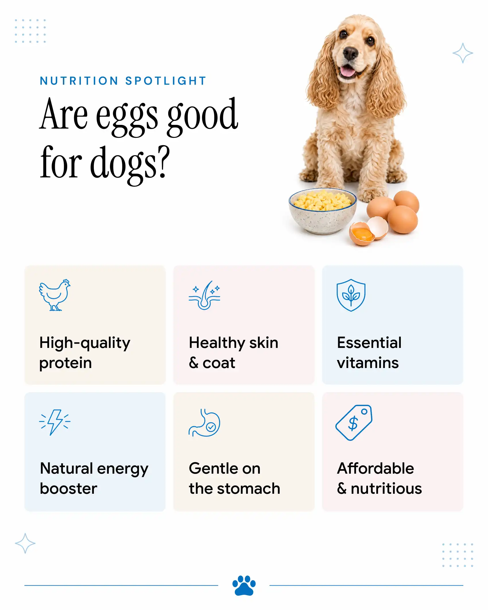 Benefits of Eggs for Dogs