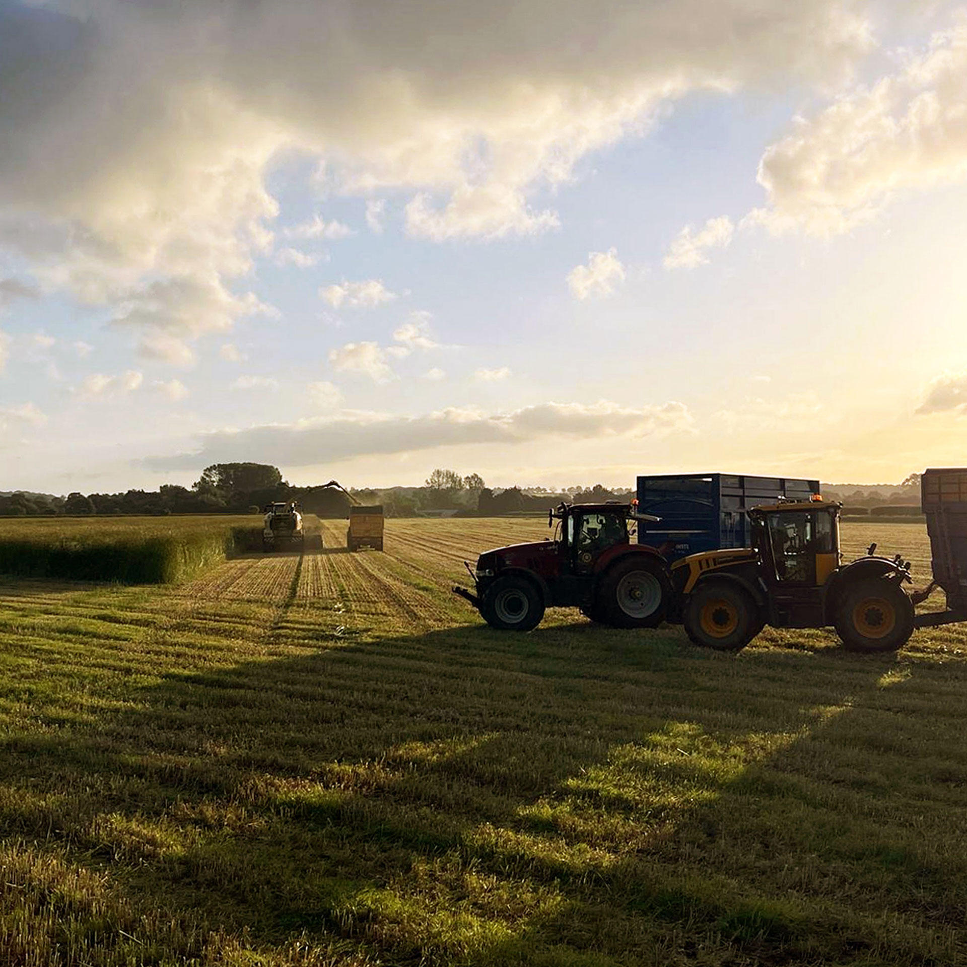 Red tractor with trailer harvesting hay bales in a golden field at sunset with dramatic cloudy sky