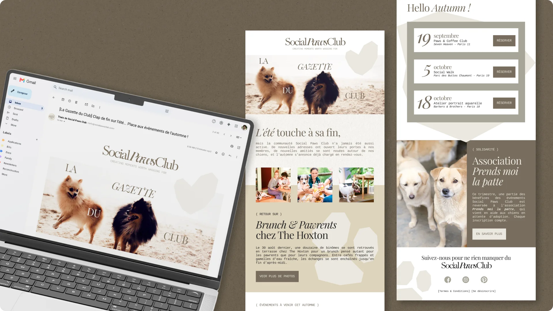 Newsletter Social Paws Club par Coralie De Almeida graphiste spécialisée dans le secteur animalier