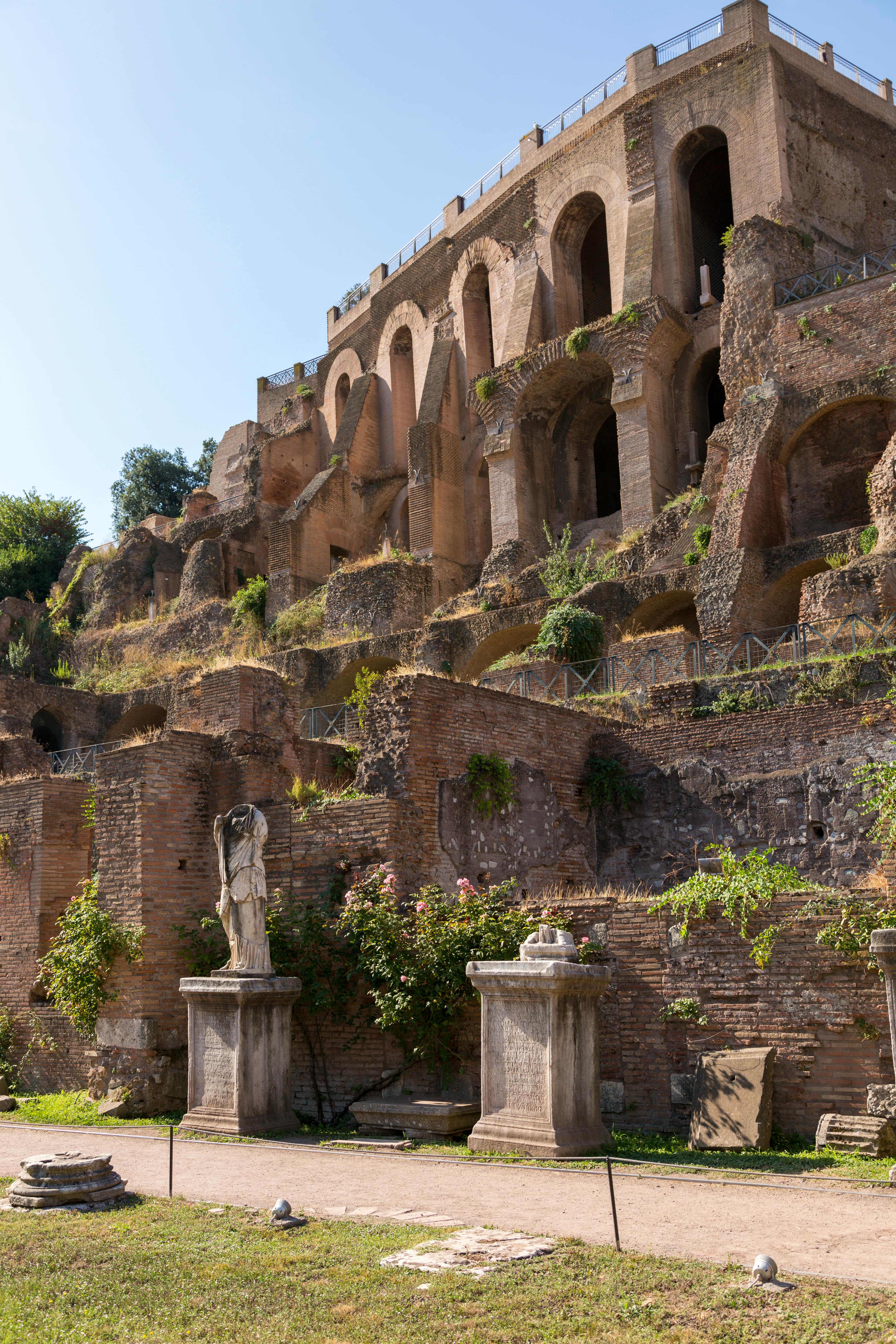 umbrella-pine-03.jpg	Brick ruins of the Domus Aurea with an umbrella pine above the archaeological remains on Colle Oppio