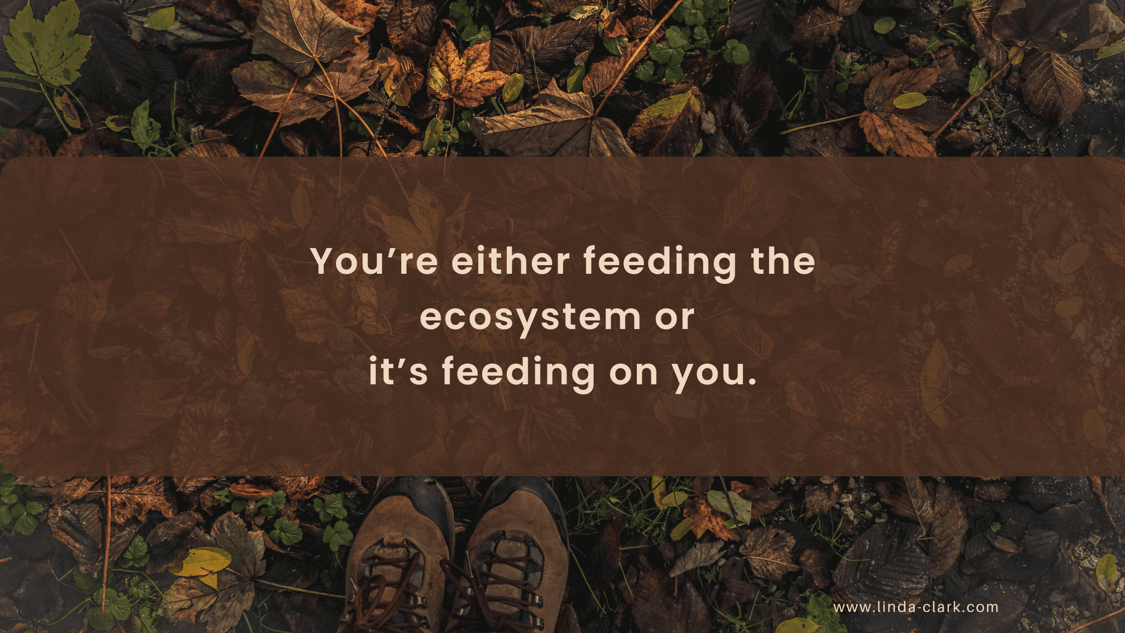 A photo of a forest floor covered in leaves and looking down at your boots in the leaves. The title of the blog post is on a brown background and says Ecosystemic Leadership: Beyond Systems Thinking | Linda Clark