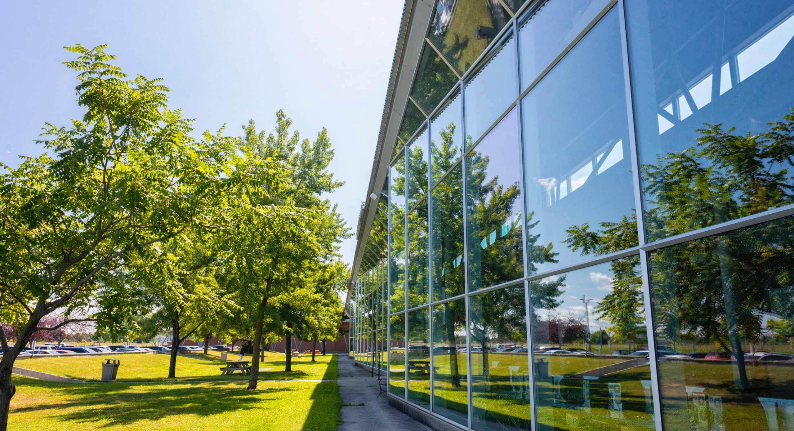 Façade vitrée d’un bâtiment moderne reflétant des arbres et un espace vert sous un ciel ensoleillé.