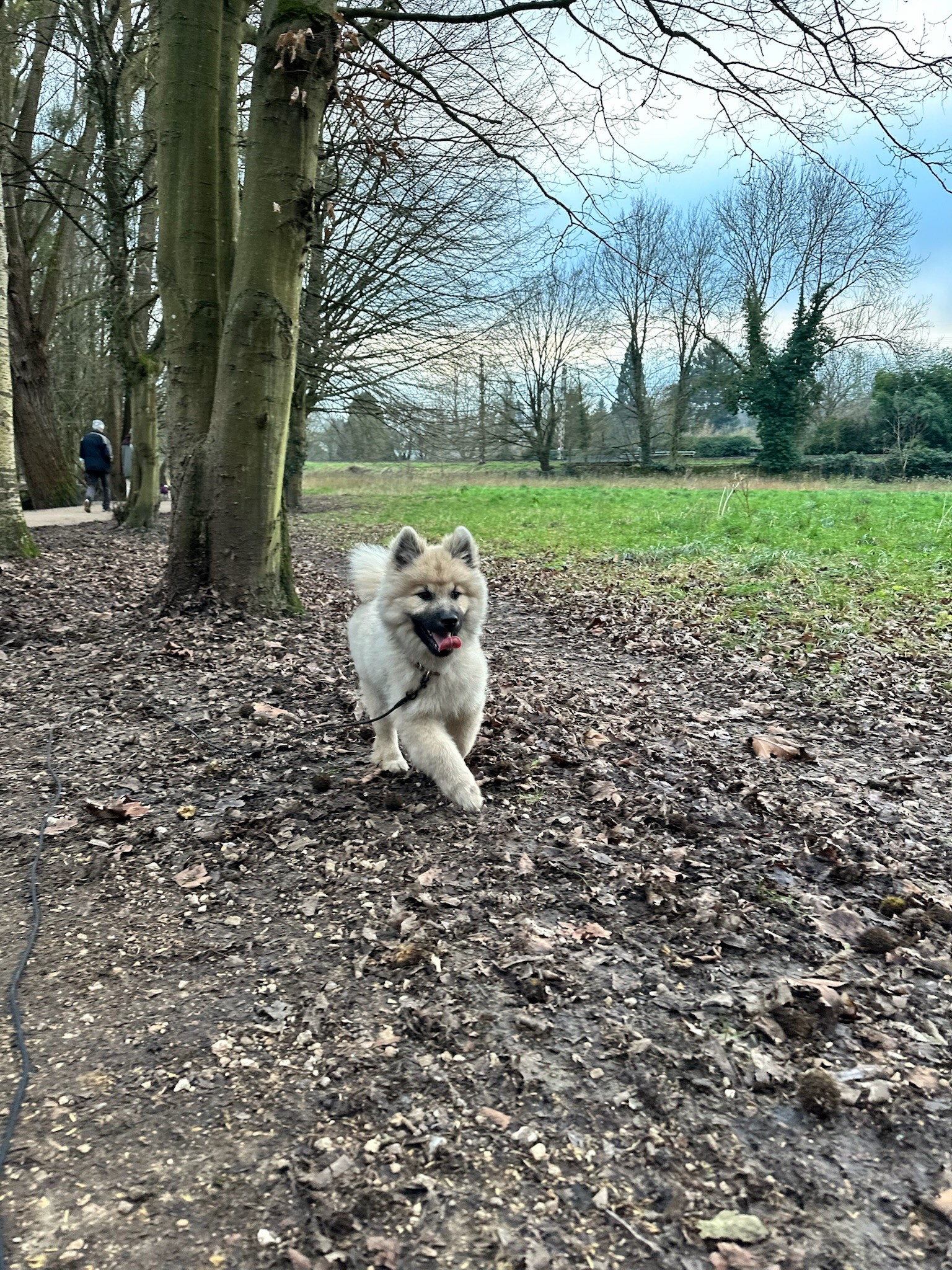 Una&Co Photo Balade éducative