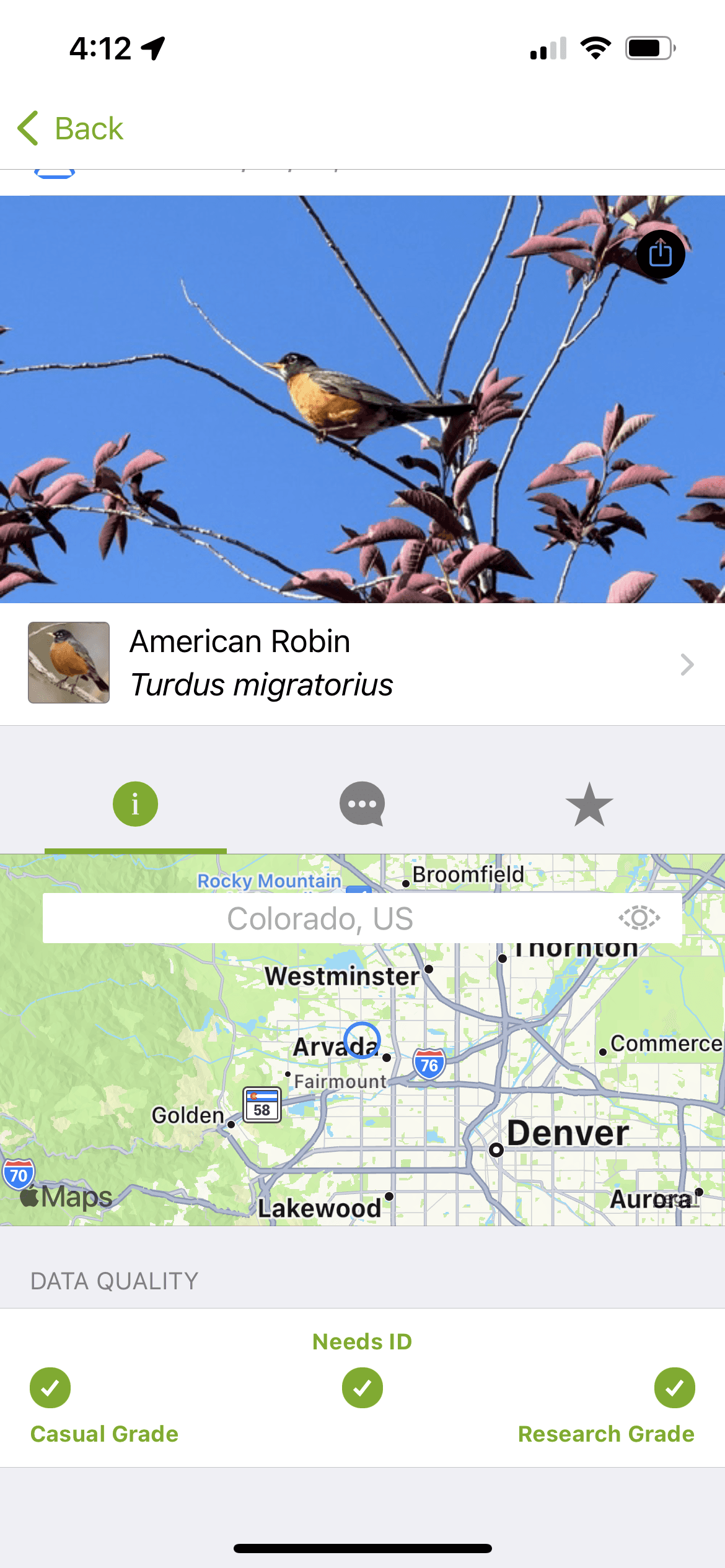 inaturalist screenshot showing picture and map of american robin sightings