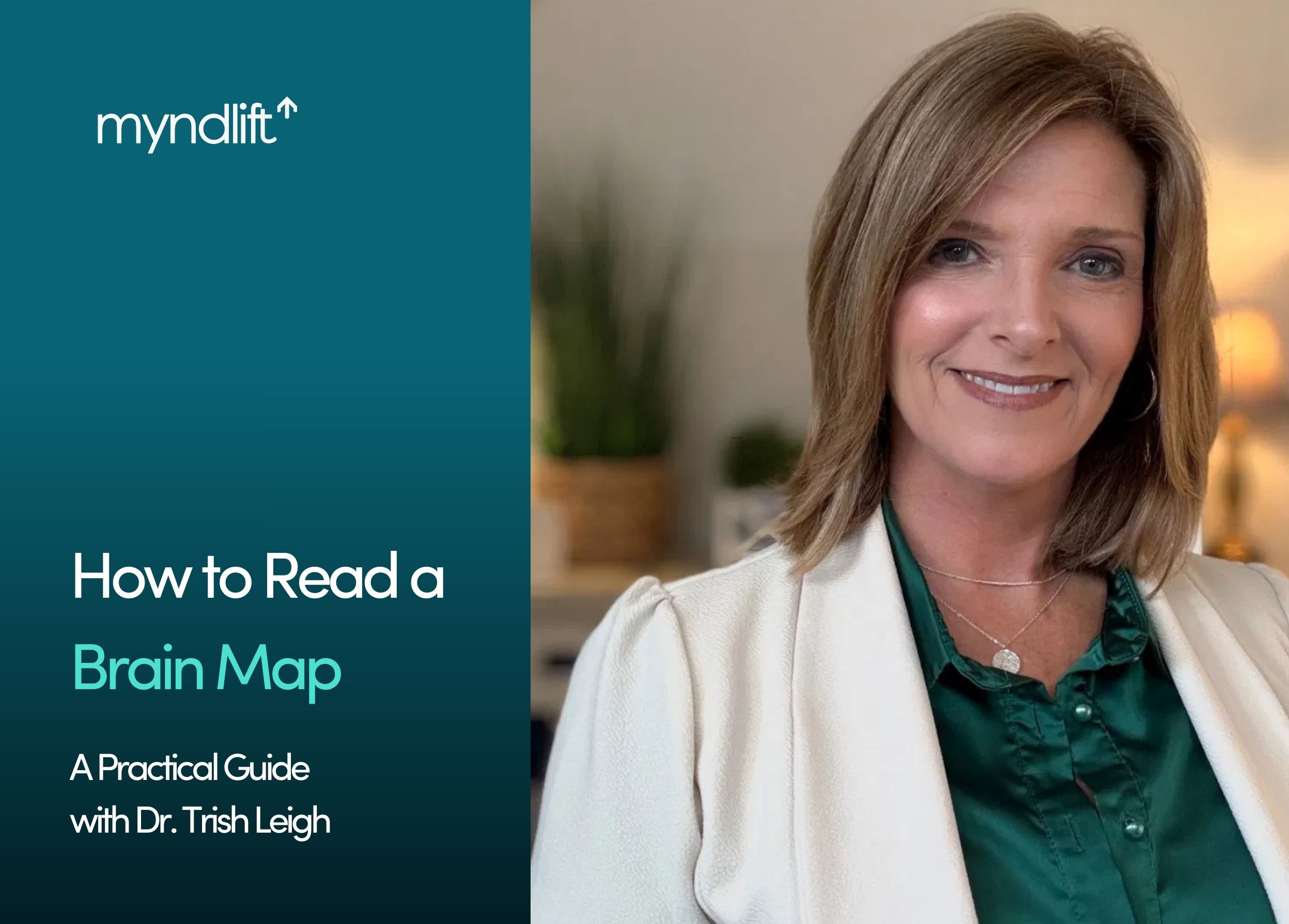 how-to-read-a-brain-map