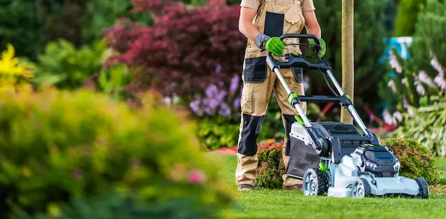 worker mows lawn in colorful blooming yard