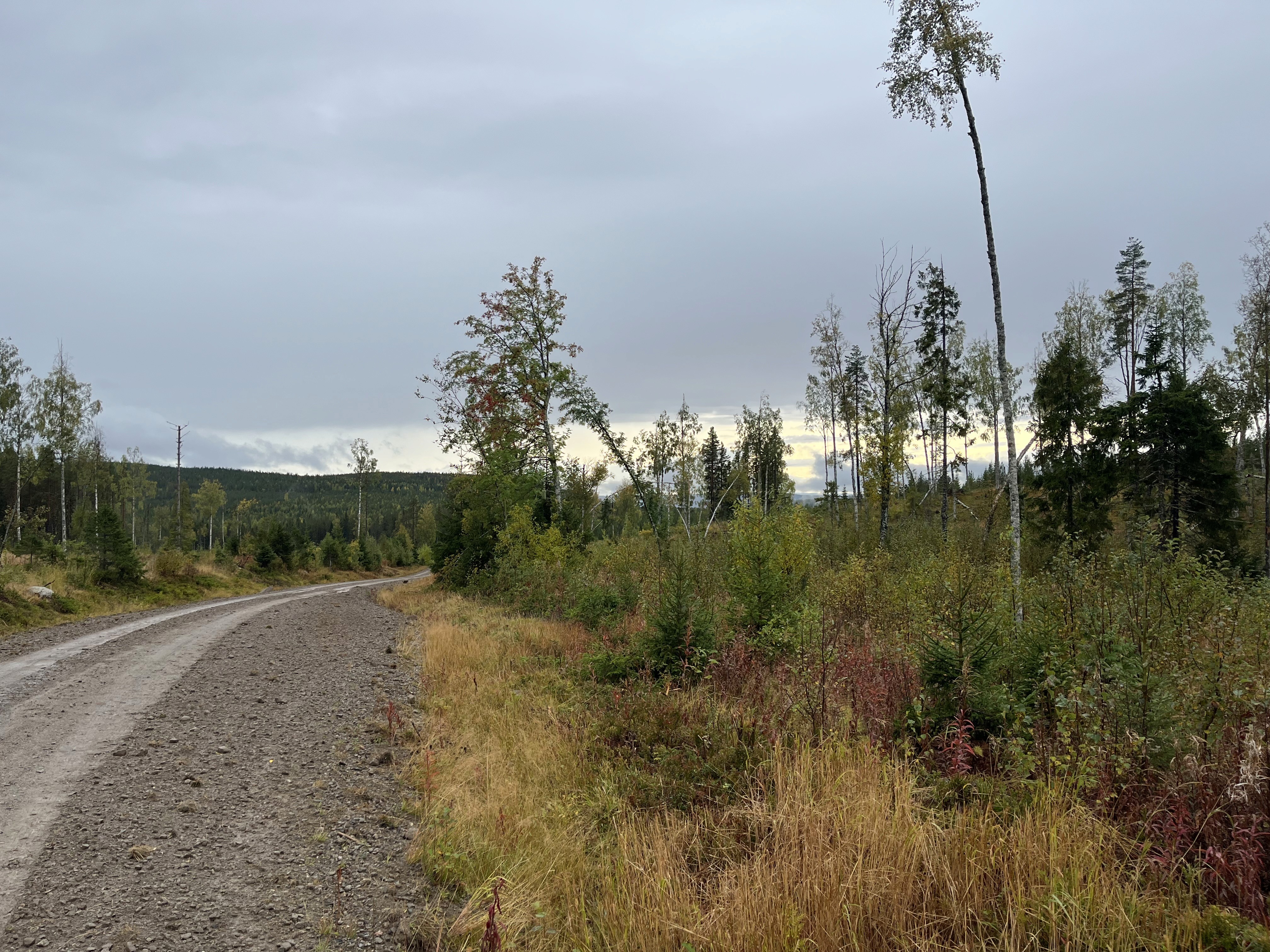 Bildet av planlagt området i Rödmyran