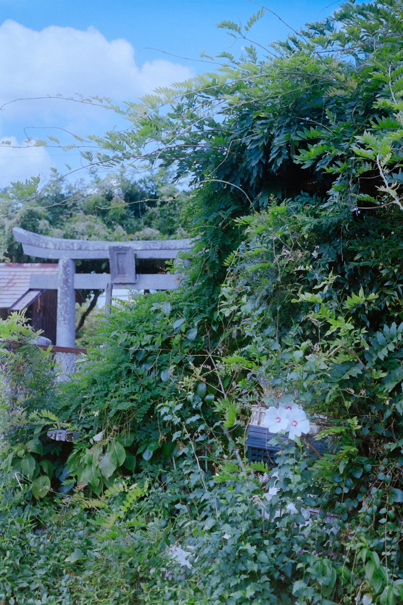 Taisei Matsumoto, 2023 exhibition view 09