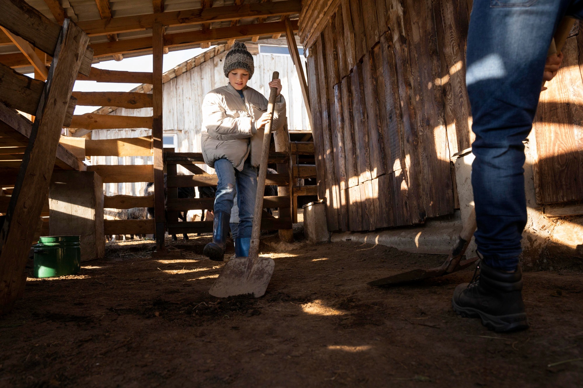 Child wearing winter clothes and boots helping with farm chores inside a wooden barndominium barn, using a shovel on a sunny rural day.