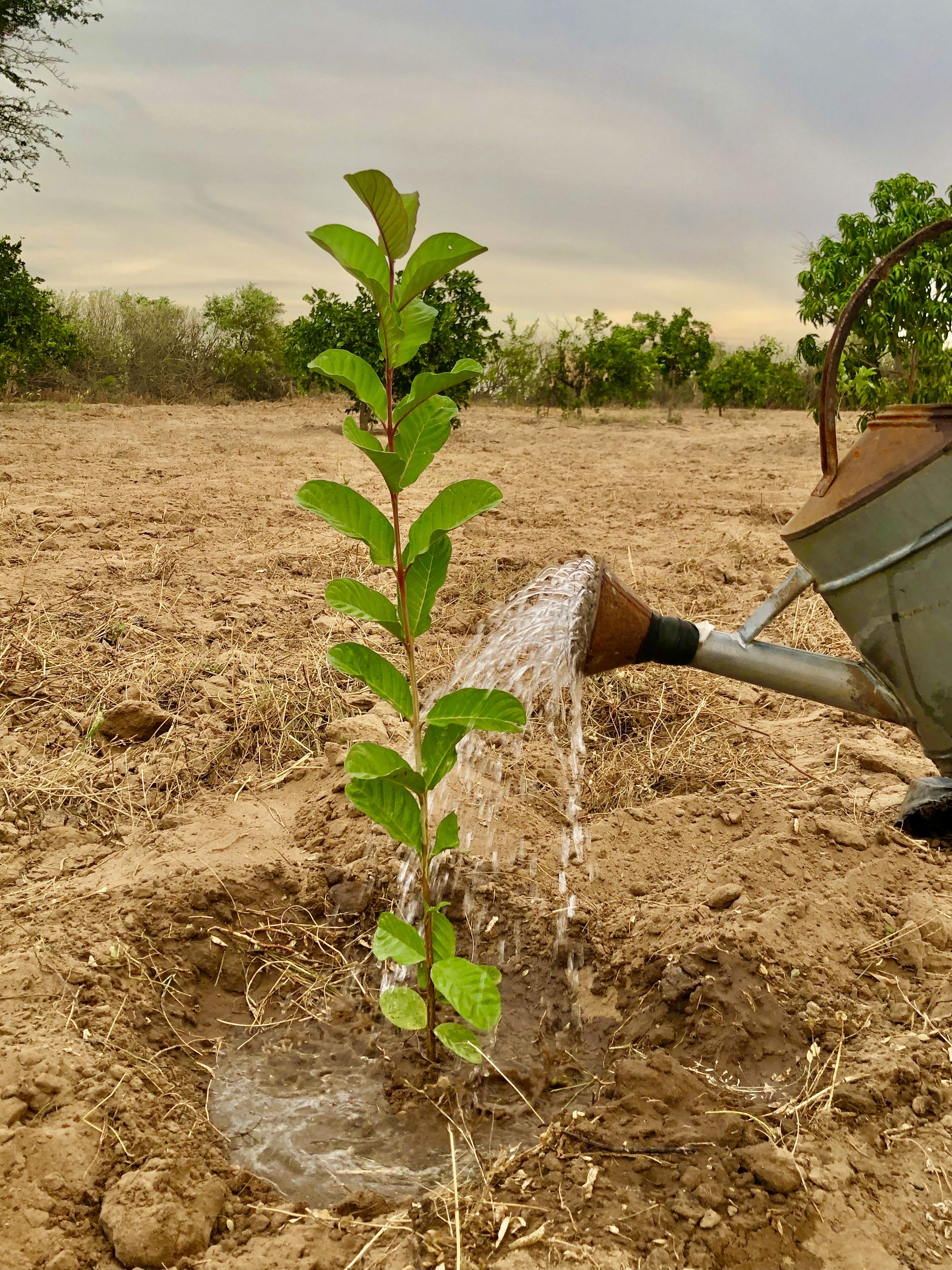 Thumbs up from lab technician for successful chemical delivery