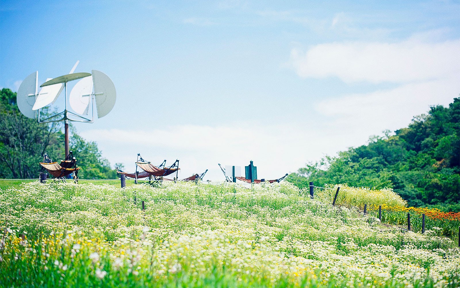 Kobe Nunobiki Herb Gardens with hammocks and windmill under clear sky.