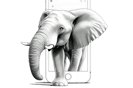 Senior Design Subscripton based, SaaS Design:Director Yvonne Doll