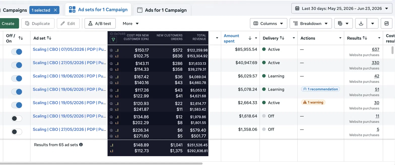 Meta ad campaign performance dashboard showing spend, ROAS and revenue metrics