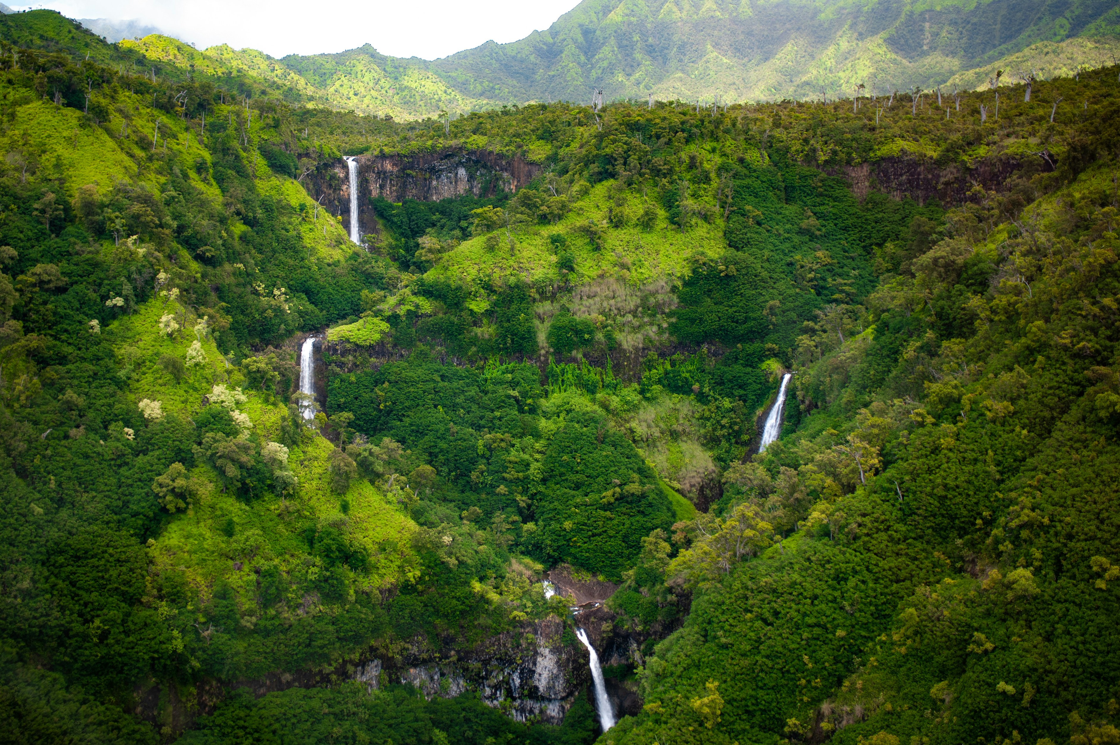 a waterfall in a forest