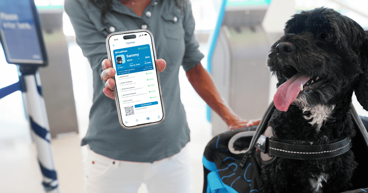 Small dog in a carrier beside a person showing their Digital Pet Passport