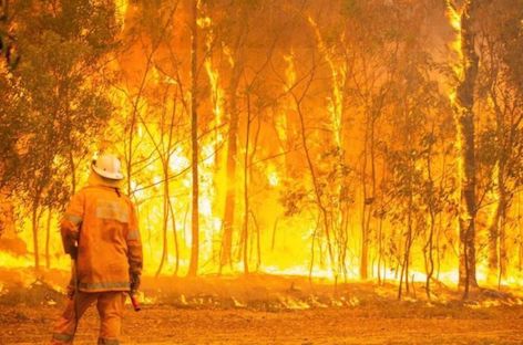 Australian promoters announce bushfire relief fundraisers