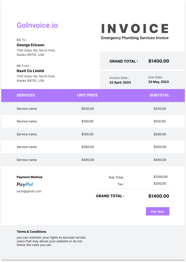 Emergency Plumbing Services Invoice