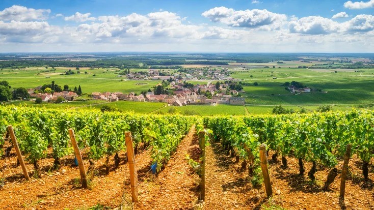 burgundy顏色 勃根地十大酒莊 勃根地紅酒價格 勃根地白酒產區 勃根地分級 勃根地公國 bourgogne發音 勃根地紅酒特色 勃根地紅酒推薦 勃根地紅酒年份 勃根地紅酒杯 勃 根地 地圖 勃根地法文 burgundy顏色 burgundy紅 burgundy意思 法國酒推薦 法國酒介紹 法國酒莊排名 法國酒莊分級 法國紅酒五大產區 法國葡萄酒產區排名 法國 十大 酒 莊 法國 二級 酒 莊