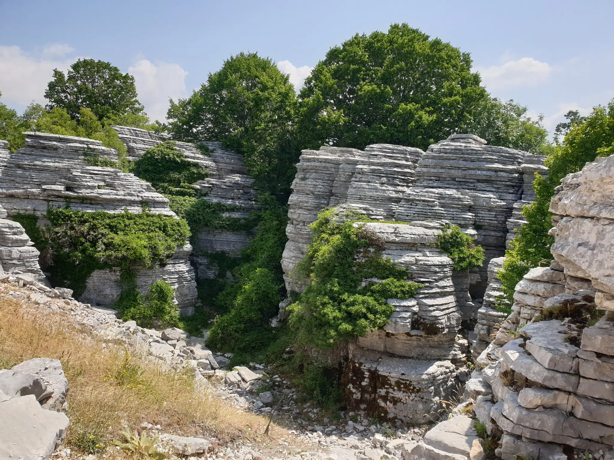 Aleko Loop via Stone Forest 